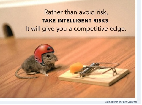 Take intelligent risks (Mouse, Cheese & HELMET)